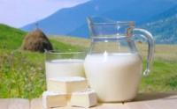 ФАС определит минимальные цены для зерновых и молочных интервенций